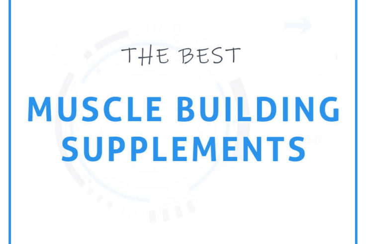 Best Muscle Building Supplements