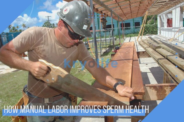 manual labor sperm health